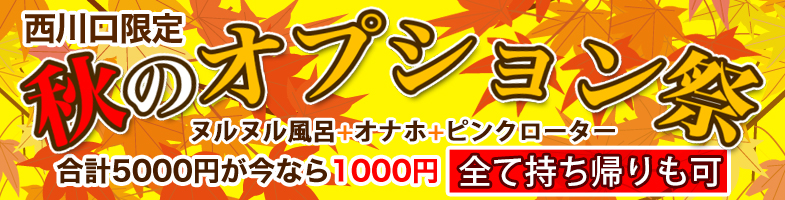 ぽっちゃり風俗ニュース